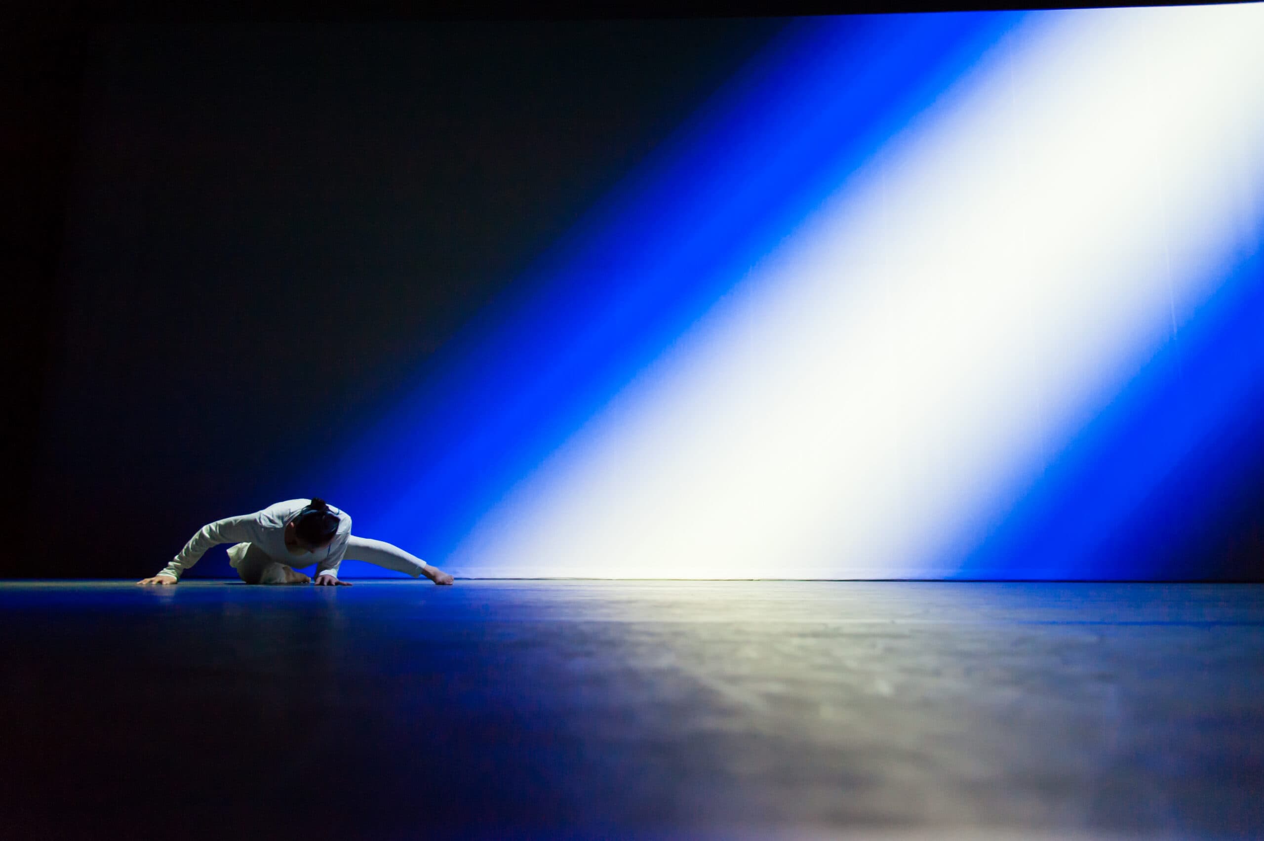 動態 – sensorial - 1