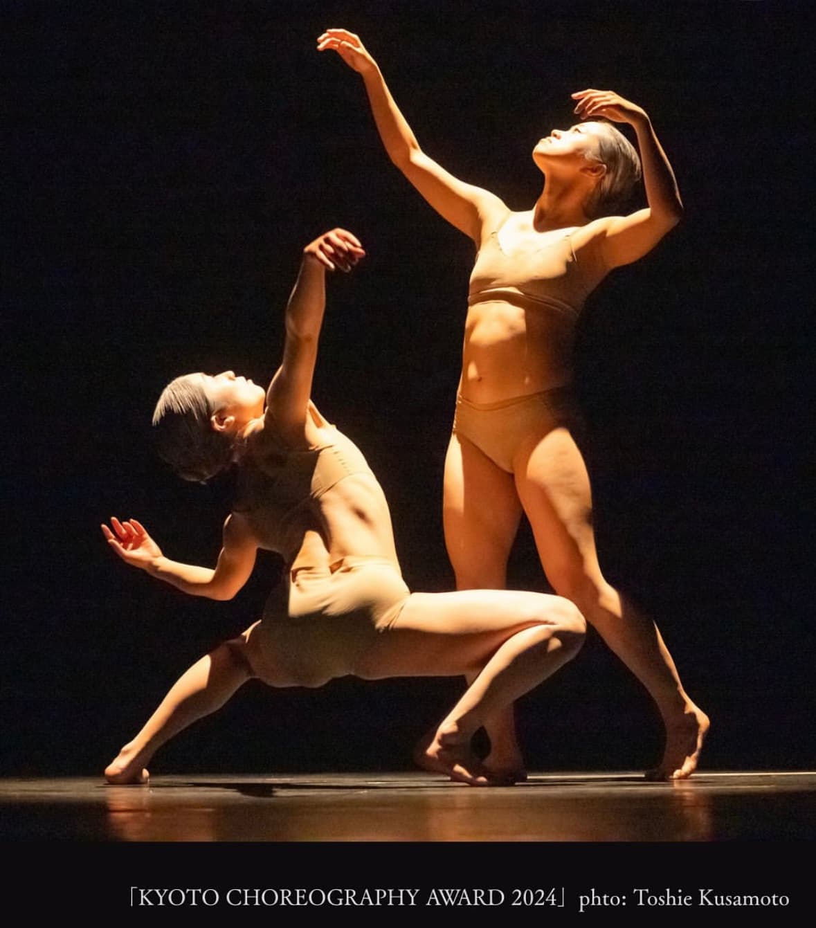 Political Spaghetti - 1