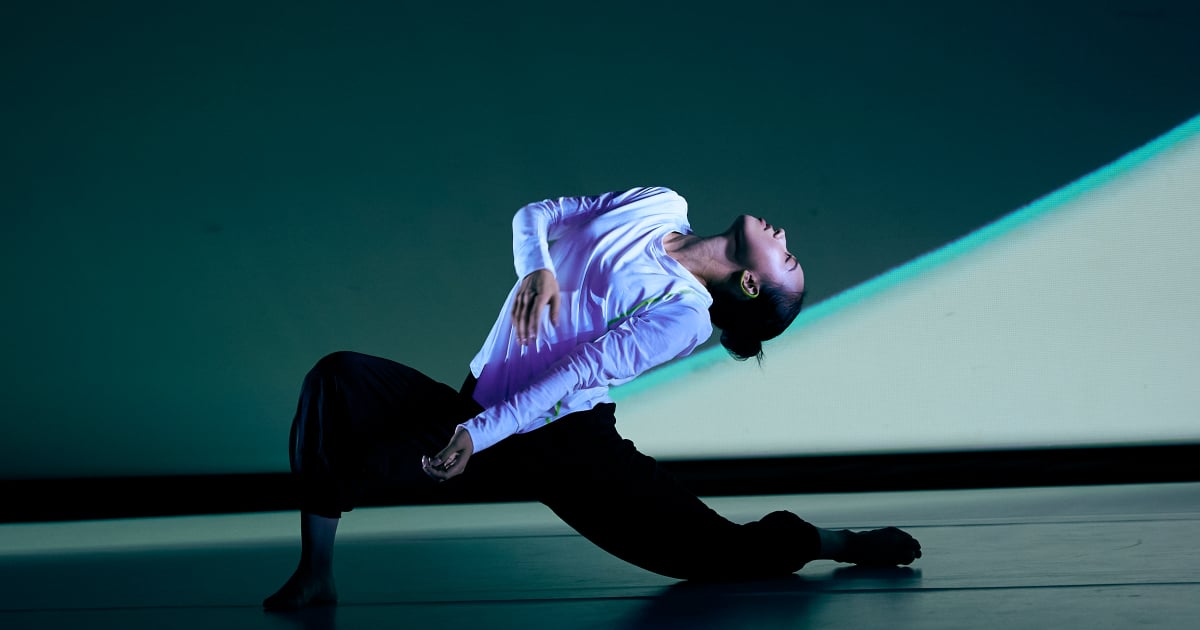 Somatic Field Project【Moving State 1】